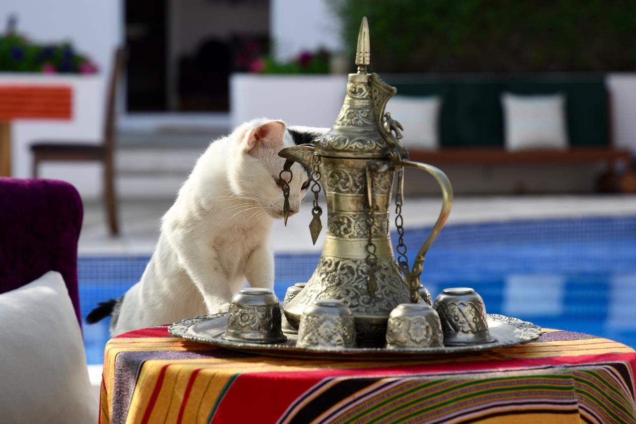 Behlys Boutique Otel Maskat Dış mekan fotoğraf